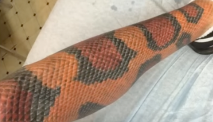 snake tattoo