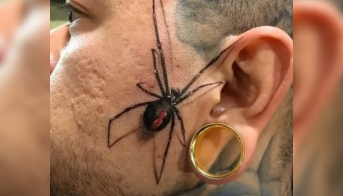 spider tattoo